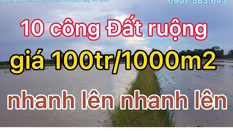 chú kẹt tiền bán gấp 10 công mặt tiền đường dal giá 100tr/1000m2 ,xã Vị Tân ,Tp,Vị Thanh ,HG