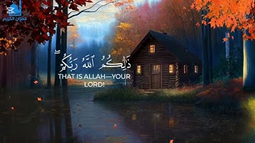 1. 🌿 راحة القلب مع تلاوة خاشعة تبكي العيون – صوت ياسر الدوسري 