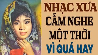 Nhạc Xưa TỪNG BỊ CẤM NGHE Một Thời Vì Quá Hay - Liên Khúc Nhạc Xưa Hải Ngoại Đắt Giá Vô Cùng