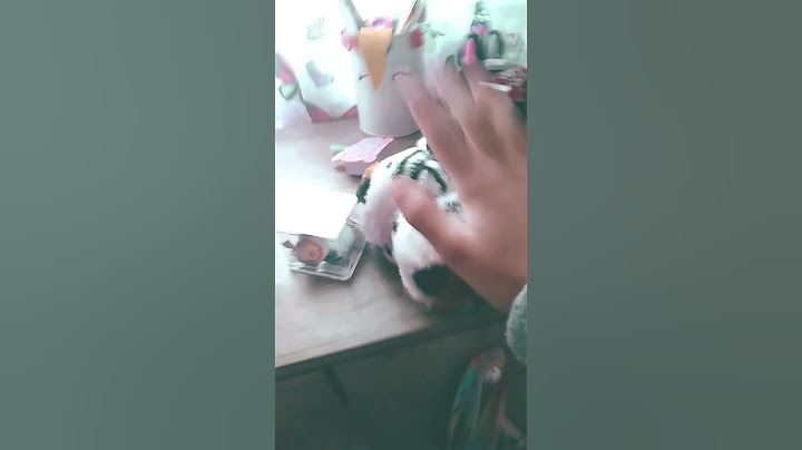 tudo sumiu menos o livro