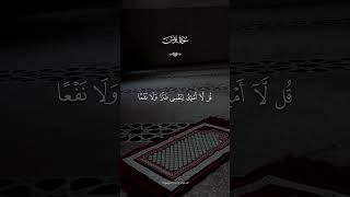 صوت من عالم اخر