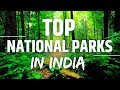 Top national parks in india   indian wildlife  jim corbet  sundarban  shaharyaar