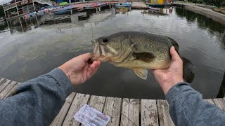 Fishing top water at Dow’s lake Ottawa Ontario !!!