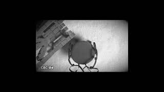 The Friendly Giant Programmer