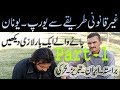 What is illegal illegally going to Europe, Greece, Turkey, Part 1 / Urdu and Hindi