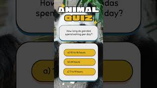 Quiz Time! 🐼 Guess how long pandas spend munching each day? screenshot 2