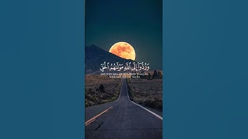 سورة يونس // هُنَالِكَ تَبْلُو كُلُّ نَفْسٍ مَّا أَسْلَفَتْ ۚ