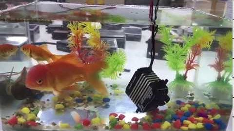 AGFrc SA86BVMW 12V Waterproof Smart Servo