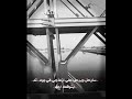 تصميم سارحا يومنا ما