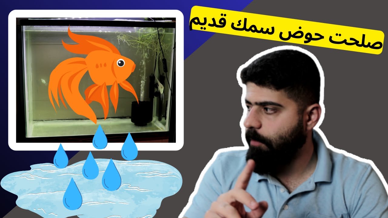 كيفية اصلاح حوض سمك قديم #منير_ليث