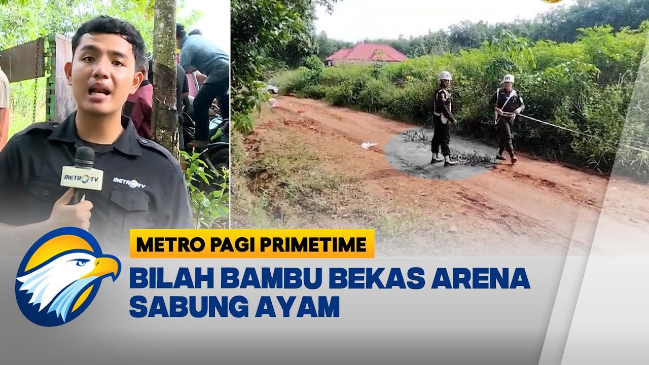 Situasi Mencekam TKP Kasus Polisi Gugur Di Area Sabung Ayam - [Metro Pagi Primetime]