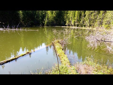 Video: Scufundați-vă în Inima Lacului Superior Cu Fotograful Christian Dalbec