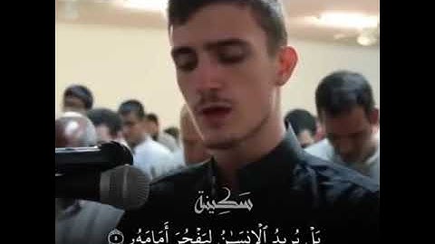 سورة القيامة[(١)_(١٢)]/تلاوة خاشعة بصوت القارئ فاتح سفرجيك #القران_الكريم #سَكِينة #تلاوة_خاشعة