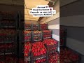 Работа в Европе #виза #работавевропе