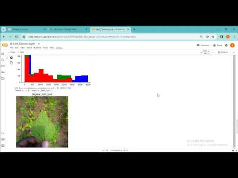 Beans Leaf Disease Classification using Deep Learning