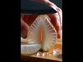 Extremely Satisfying Fruit ASMR || What fruit it is? #asmr #oddlysatisfying #relax