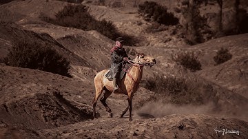 Dramatic Brown Effect Photoshop CC Tutorial | Human Interest Photos