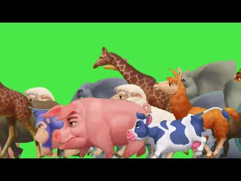 Ostriches And Animals Running Together Protecting Nature S Diversity Animal Stampede Green Screen