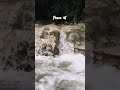 Peace Full Moments #nature #capture #day #life #nature #trends #fyp #peace #beauty #minivlog