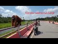 Viral...Orangutan walking along bridge #orangutan