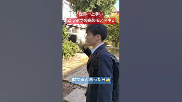 激似 世界一上手いどうぶつの森のモノマネがこちらw Shorts 面白い 