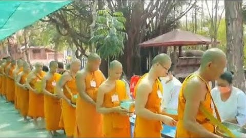 Hành Thiền và khất thực của tứ chúng