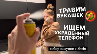 VLOG: УКРАЛИ ТЕЛЕФОН, В ДОМЕ ЖУКИ И ДРУГИЕ ХОРОШИЕ НОВОСТИ