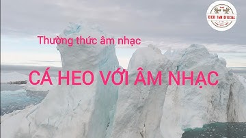 Thường thức âm nhạc | Cá Heo Với Âm Nhạc (Theo Sputnik - Liên Xô cũ) | Âm Nhạc 3 (KNTTVCS)