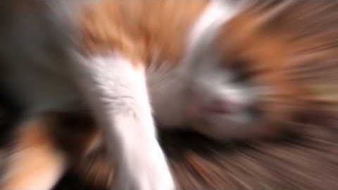 mlt_transition_shader_crosszoom_html.mov