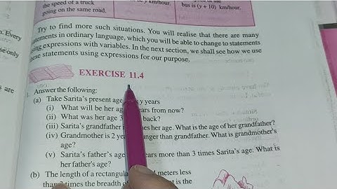 Class 6th Maths chapter 11 Algebra Ex 11.4 solutions