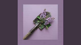 Full Your Heavenly Lilac Update