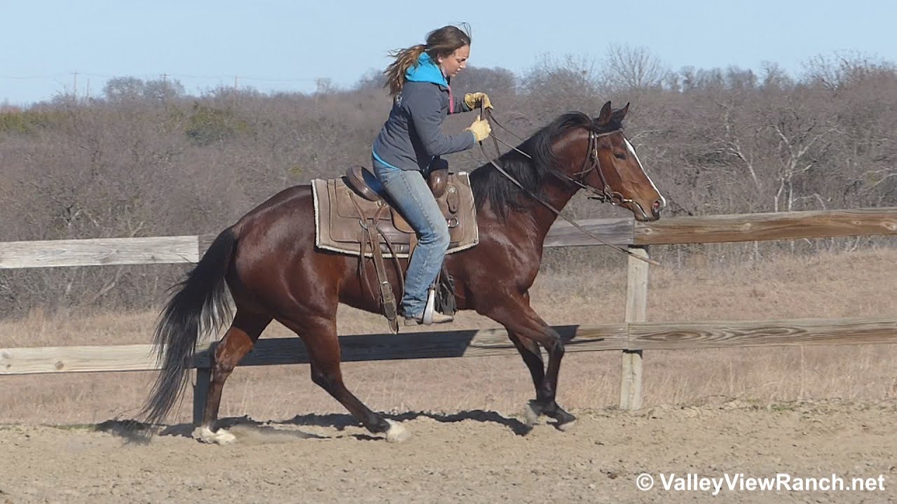 Smokin Hick O Lena - riding in outdoor arena - Valley View Ranch - YouTube