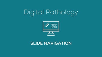 Digital Pathology - Slide Navigation