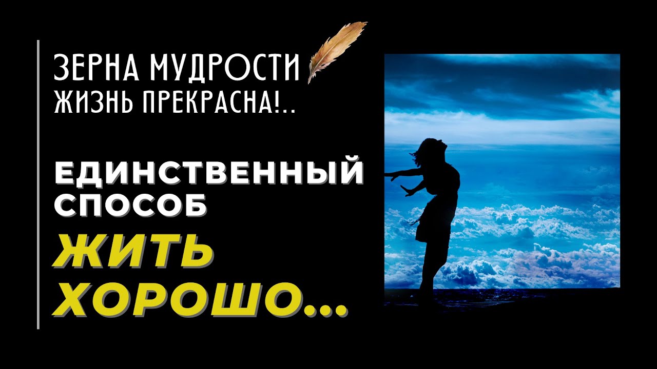 Цитаты про жизнь со смыслом 🌷 Жизнь прекрасна!