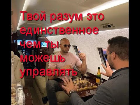 Видео: Эндрю Тейт | Бизнес = Метод Проб и Ошибок | Открыть Бизнес - Бесплатно