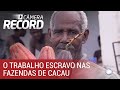 Câmera Record denuncia trabalho escravo em fazendas de cacau na Bahia