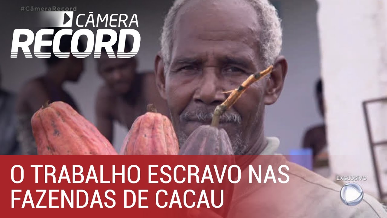 Câmera Record denuncia trabalho escravo em fazendas de cacau na Bahia