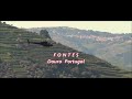 FONTES  DOURO POTUGAL