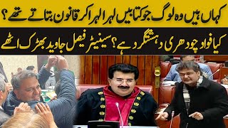 کیا فواد چودھری دہشتگرد ہے؟ سینیٹر فیصل جاوید بھڑک اٹھے I Faisal Javed Fiery Speech in Senate I GNN