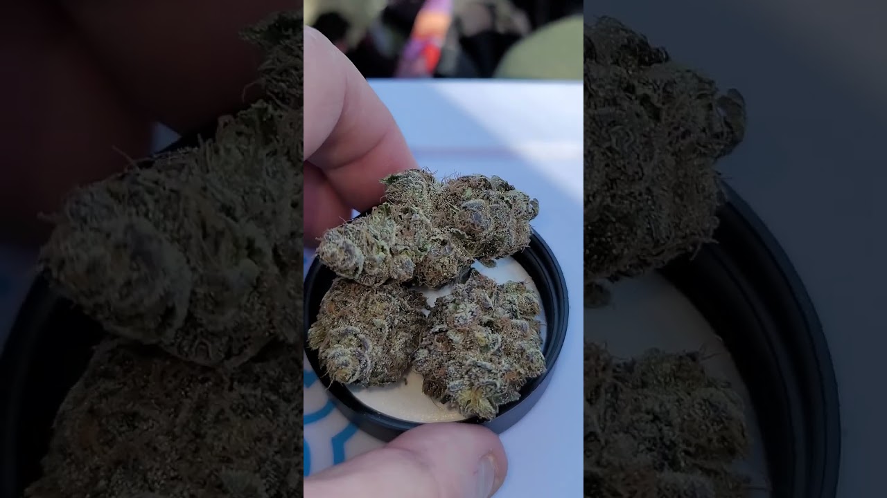 CONNECTED SWEAT HELMET X RED POP #2