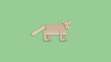 Cougar Animation