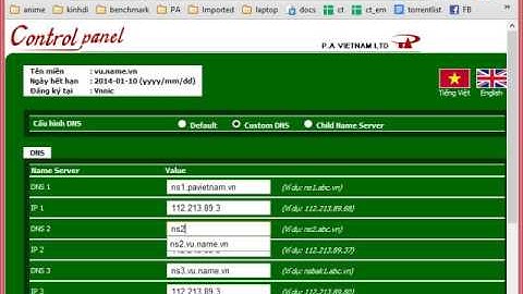 Hướng dẫn - Thay đổi DNS tên miền .VN | P.A Việt Nam
