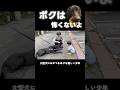 ボクは怖くないよ！子供に優しい大型犬