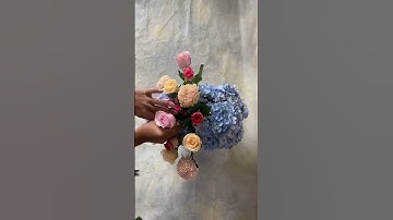 Cách cắm hoa Cẩm Tú cầu đẹp #camhoabantho #camhoaonline #chohoatet