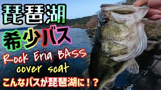 【琵琶湖バス釣り】ある意味希少！？琵琶湖ロックエリア最弱のバス！？春のカバースキャットでデカバスだが？？季節は進んで春バスは産卵！難しい季節にどうやってバスを釣るのか？ネコリグの使い方も解説