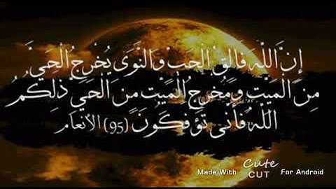 ان الله فالق الحب والنوى تلاوه باكيه للشيخ ياسر الدوسرى