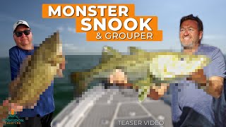 Fishing for MONSTER Grouper & Snook in Tampa Bay! | Teaser