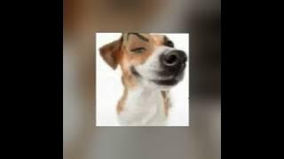 Me mata // Speed Song