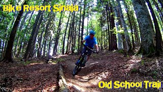 MTB | Bike Resort Sinaia / Old School Trail