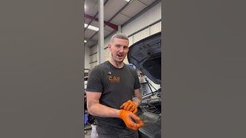 Heb je die riem gezien? 😭 Ford Ranger Raptor 🦾